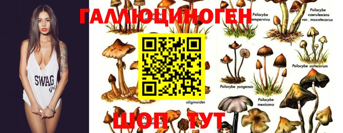 Солнечногорск  КОКАИН  Гашиш  Меф МЯУ МЯУ   МЕТАДОН  Бошки Шишки  Метамфетамин  Вход с VPN  Меф МЯУ МЯУ 