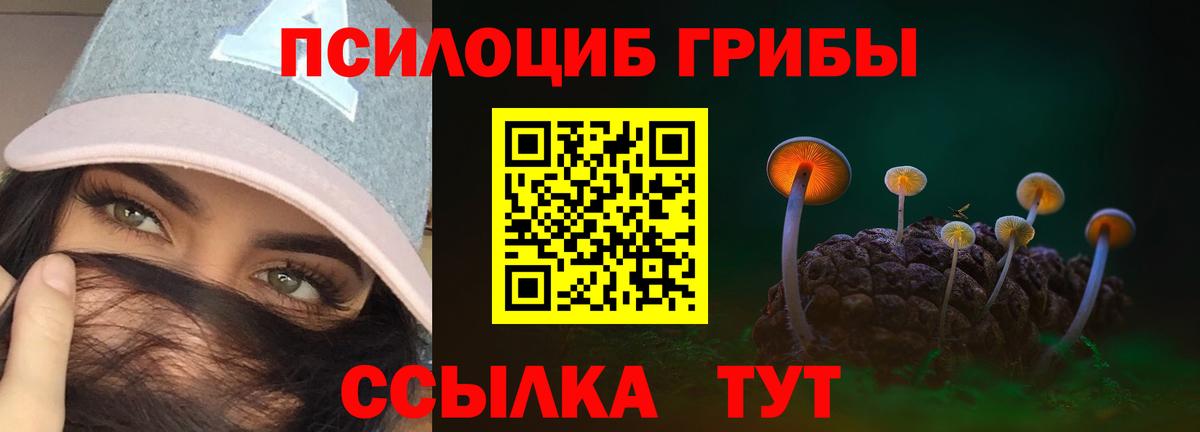 Солнечногорск  купить закладку  Вход с VPN  Галлюциногенные грибы GOLDEN TEACHER 